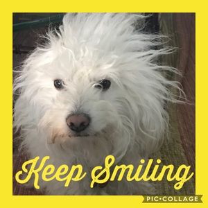 Meet your Posher, Ursula